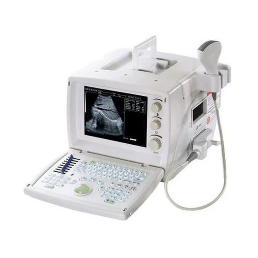 Ultrasound Black White basic portable 9.7" LCD monitor 1 convex probe battery WED9618