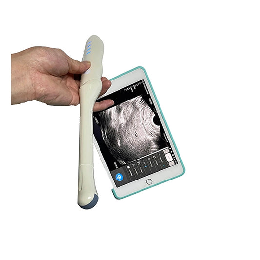 Transvaginal probe for colour doppler